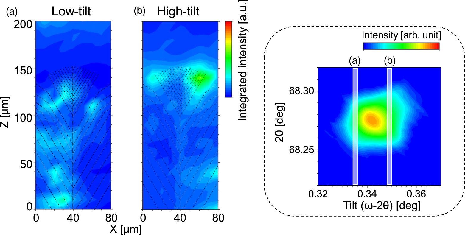 Quantitative analysis of lattice plane microstructure in the