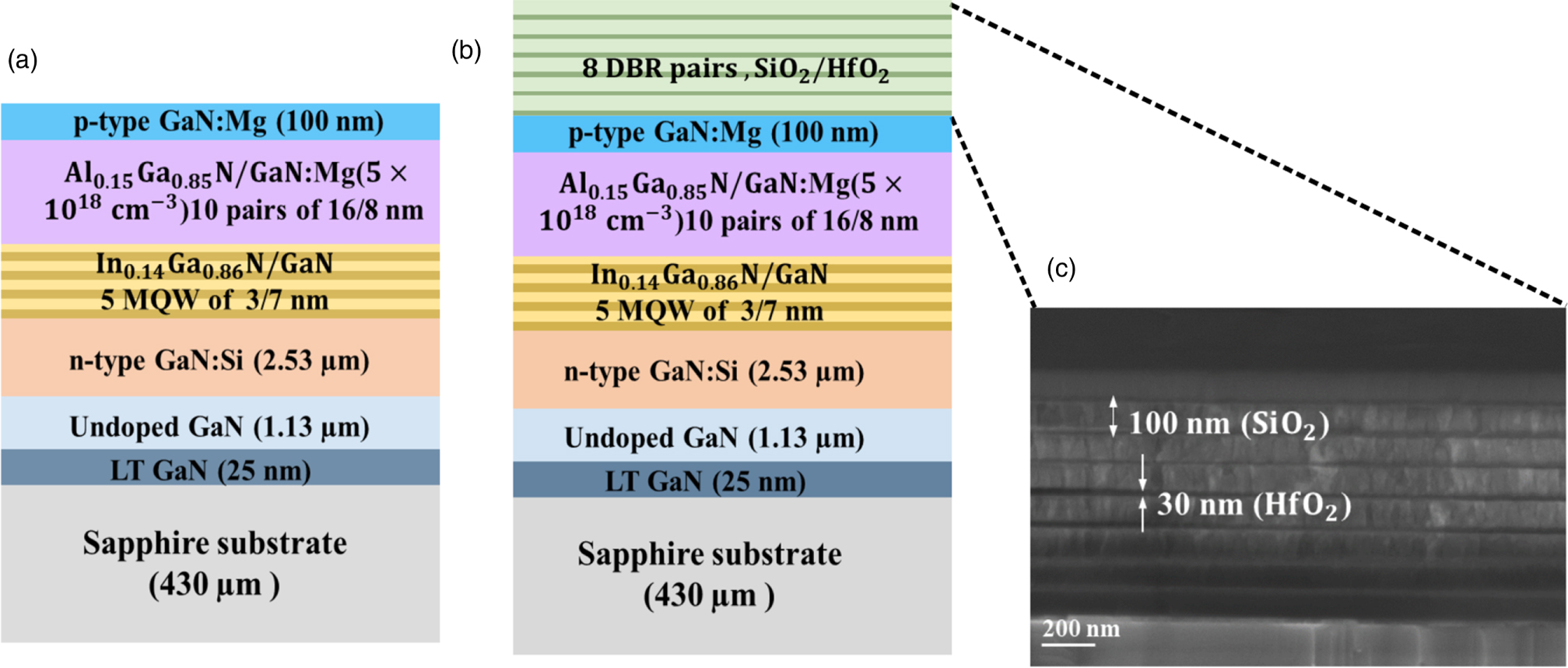 Impact of distributed Bragg reflector on carrier and photon dynamics in ...