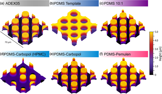 Micropatterning of hybrid polydimethylsiloxane for replica leaves ...