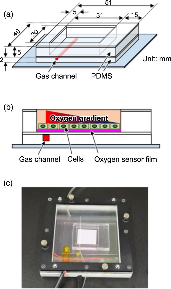 Micro/nano particle-based oxygen sensing film for monitoring ...