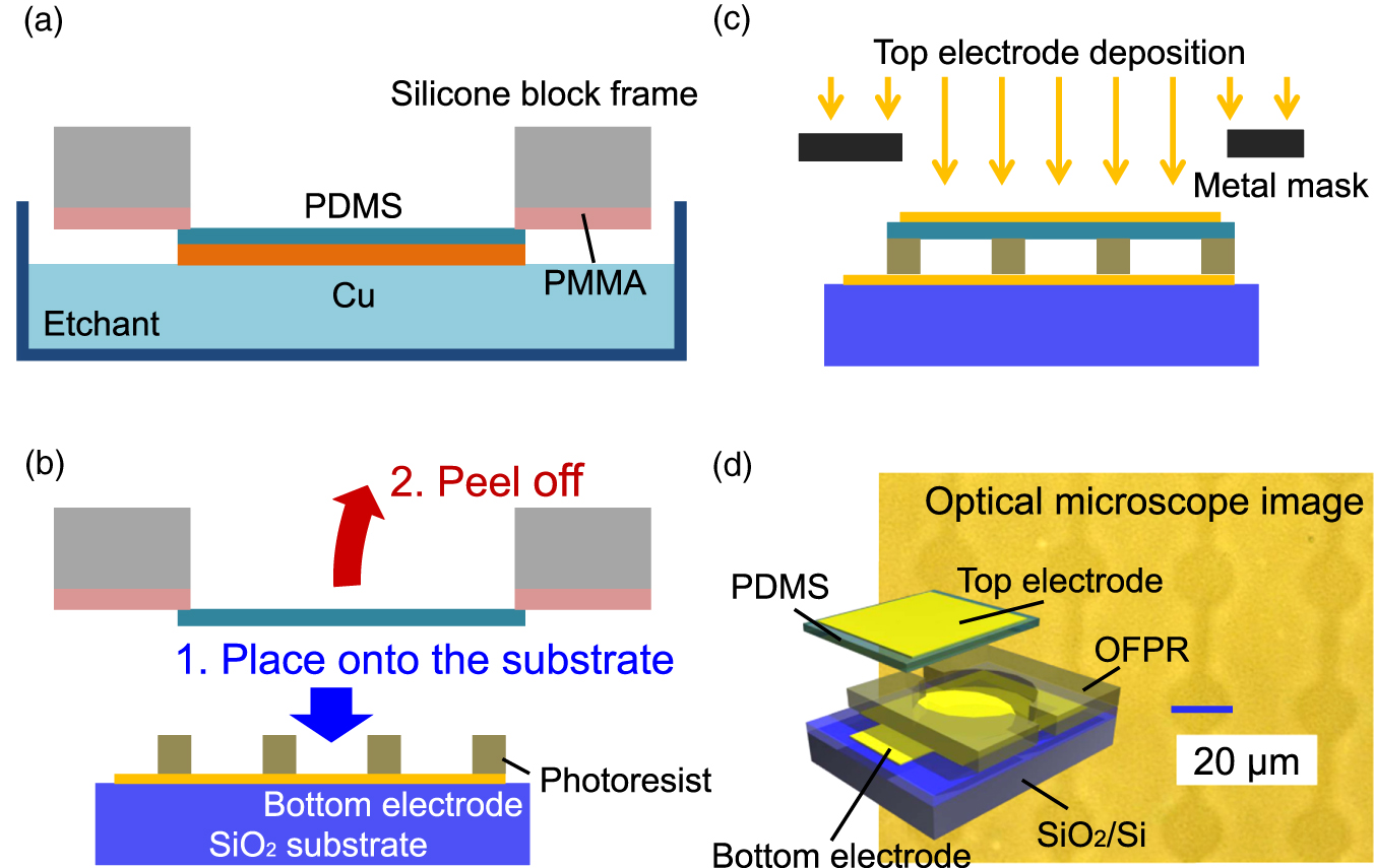 Large deformation and rapid response of spatial light modulators ...
