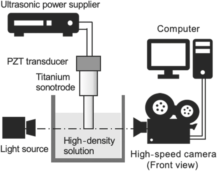 Modeling of the effect of ultrasonic amplitude and frequency on ...
