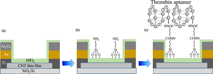 Effect of a protective layer on a carbon nanotube thin film channel in ...