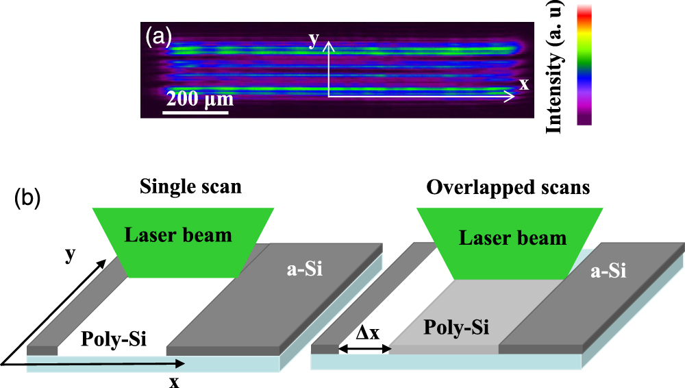 Characterization of selectively oriented polycrystalline silicon thin ...