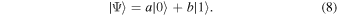 Equation (8)