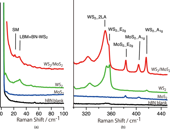 Low frequency Raman study of interlayer couplings in WS2–MoS2 van der ...