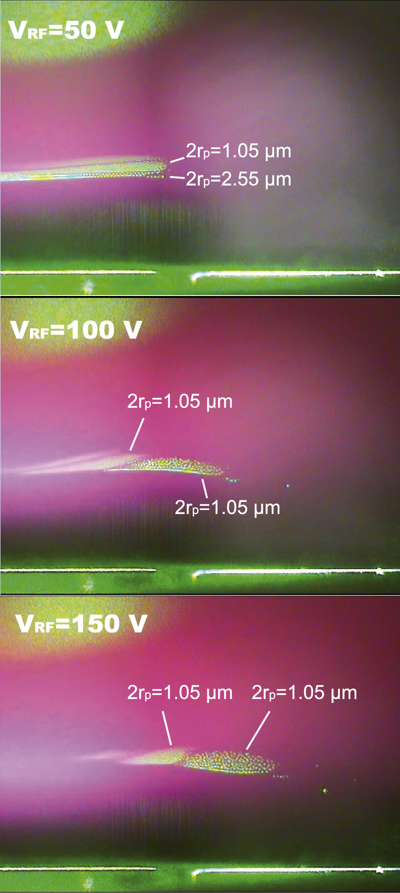 Segmentation of dust particles and spatial distribution of ion density ...