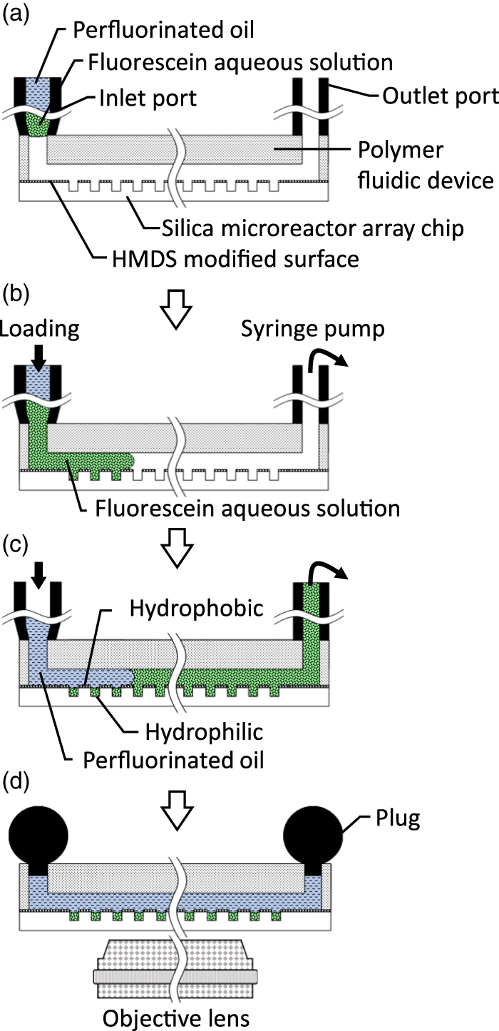 A surface modification process for silica microreactor array chips to ...