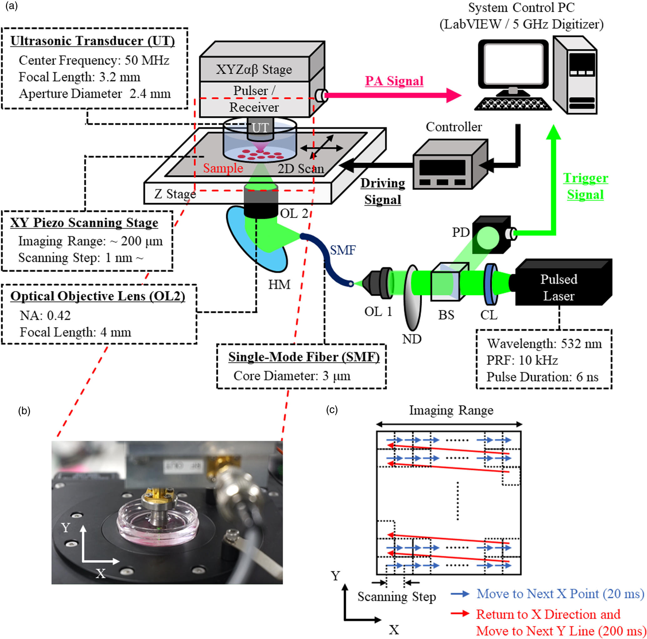 Development of optical resolution photoacoustic microscopy with sub ...