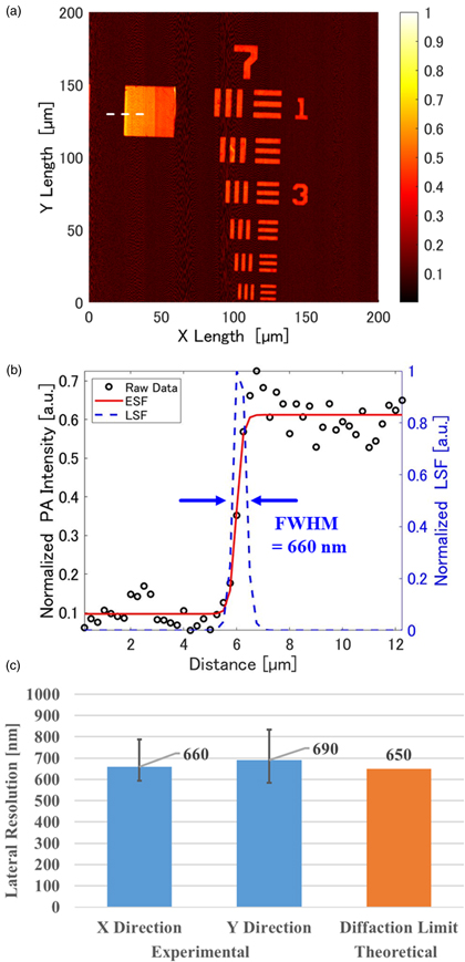 Optical Micrograph Resolution Development of optical resolution photoacoustic microscopy with sub ...