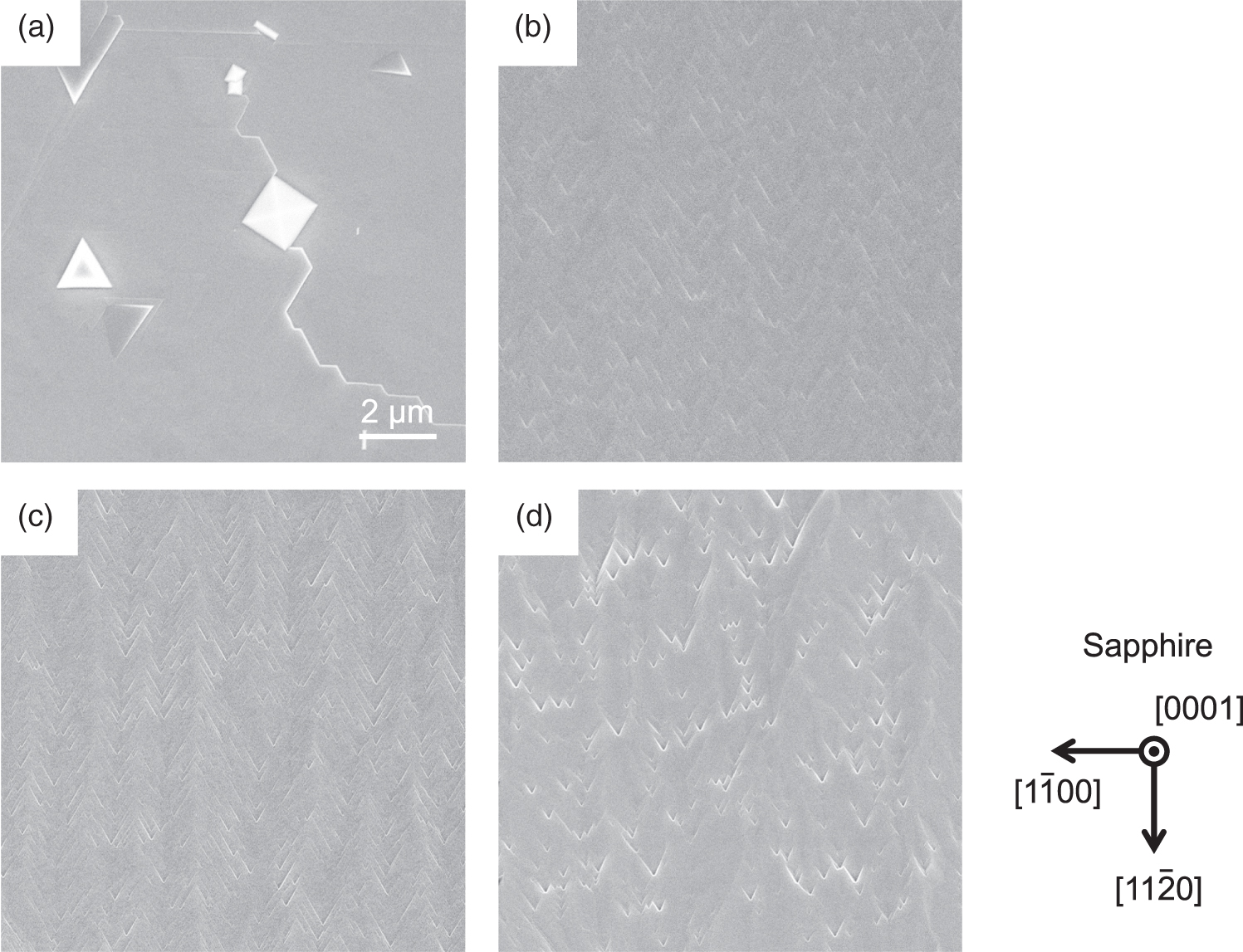 永田！ 東京オートサロン2025」会場限定モデル その② | ignition model