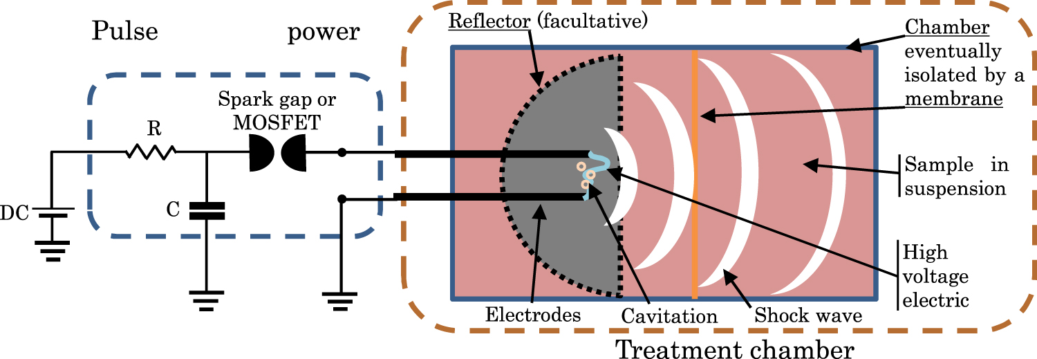 Mechanism of pulsed electric field enzyme activity change and pulsed