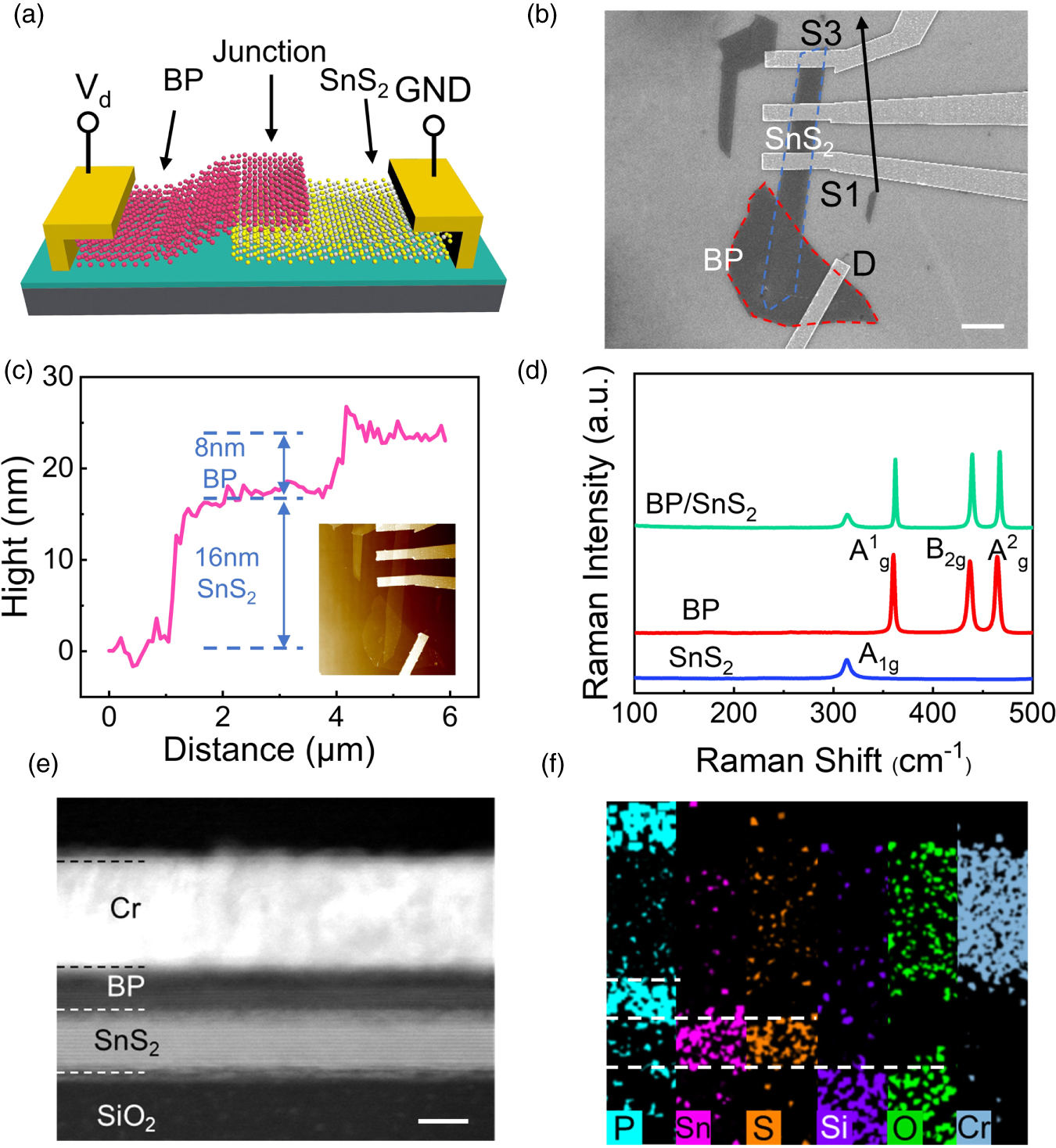 High detectivity and responsivity in black phosphorus/SnS2 ...