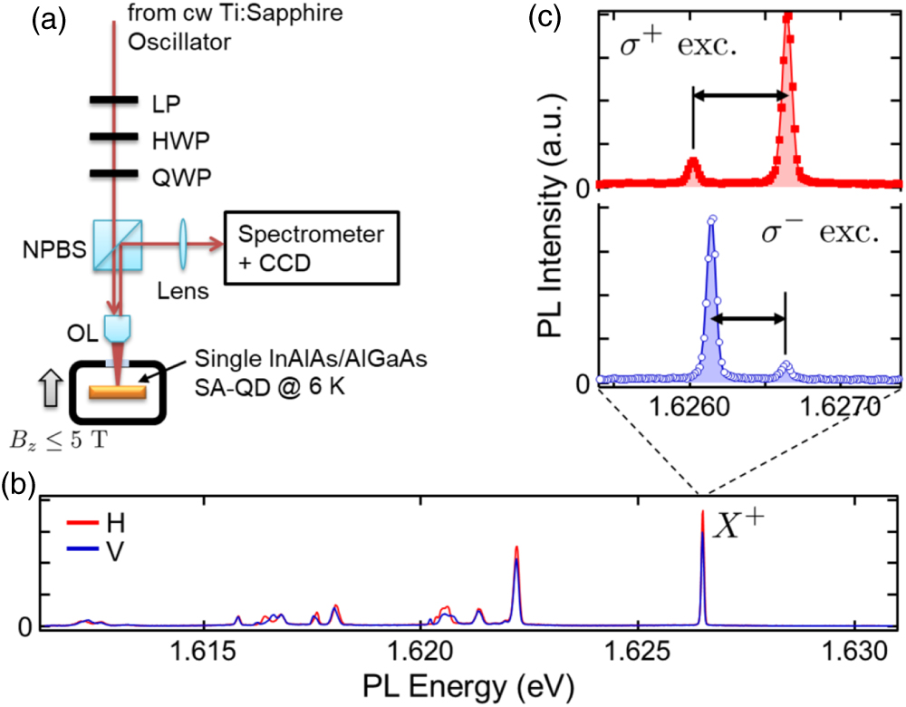 Double nuclear spin switching in single quantum dots - IOPscience