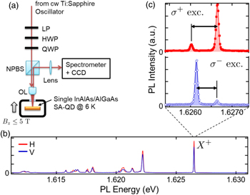 Double nuclear spin switching in single quantum dots - IOPscience