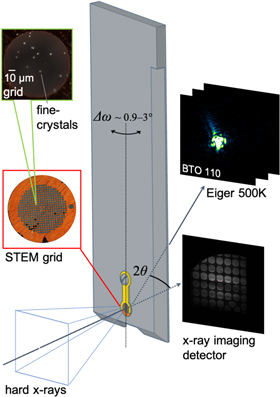 Bragg coherent diffraction imaging allowing simultaneous retrieval of ...