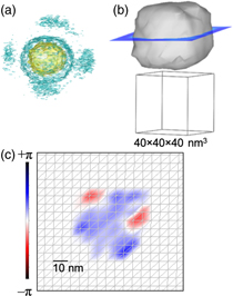 Bragg coherent diffraction imaging allowing simultaneous retrieval of ...
