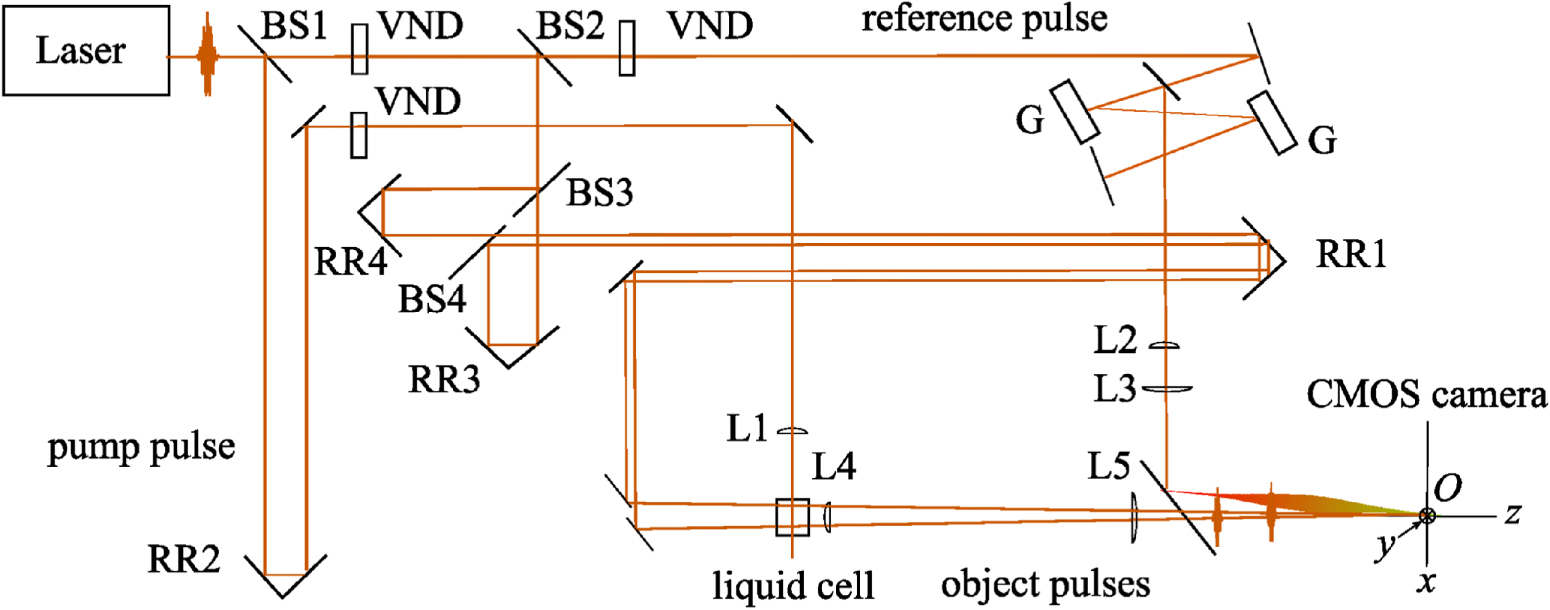 Single-shot chirped pulse digital holography for observing the ...