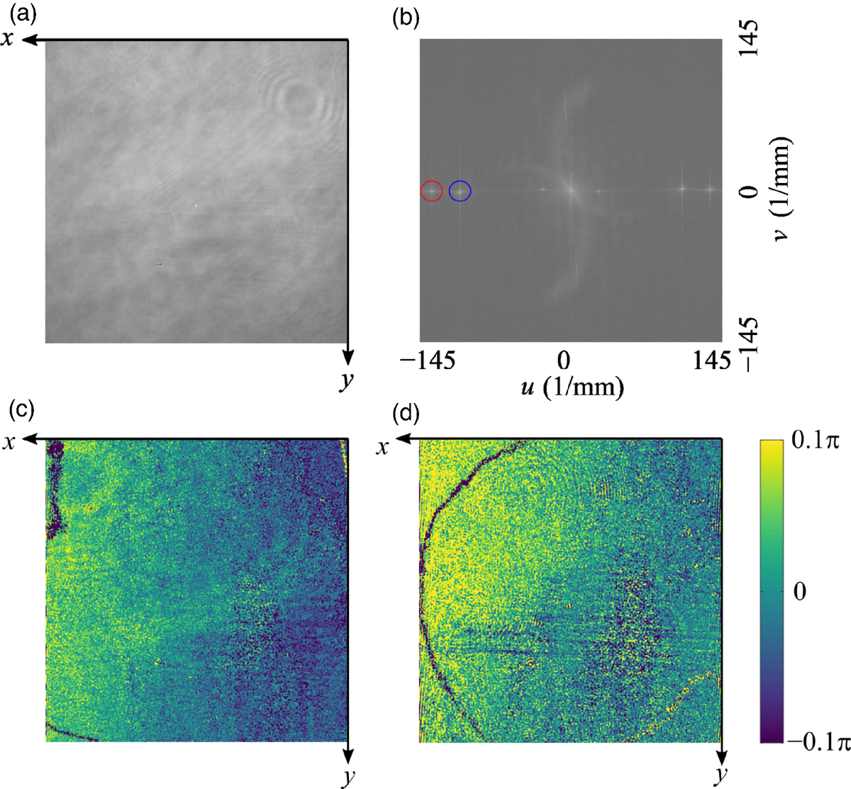 Single-shot chirped pulse digital holography for observing the ...
