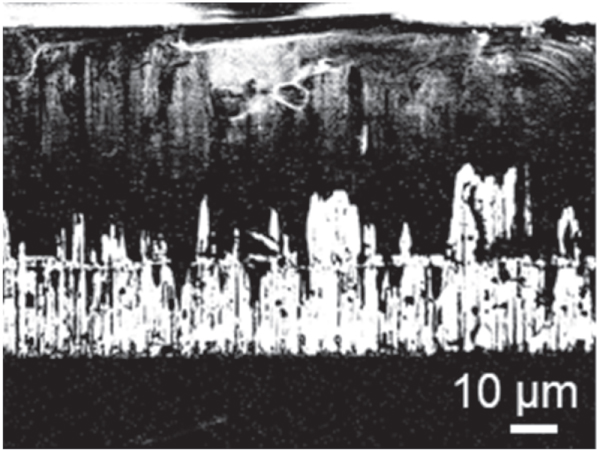 Direct growth of GaN on sapphire substrate via polarity transition from ...