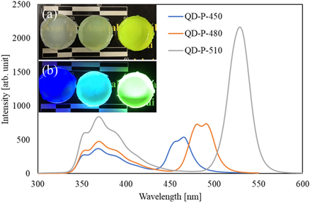 Development of plastic scintillators loaded with perovskite quantum ...