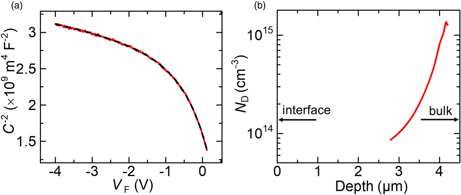 値下げしました。 pure physics Walz | Zeque (ゼクー)