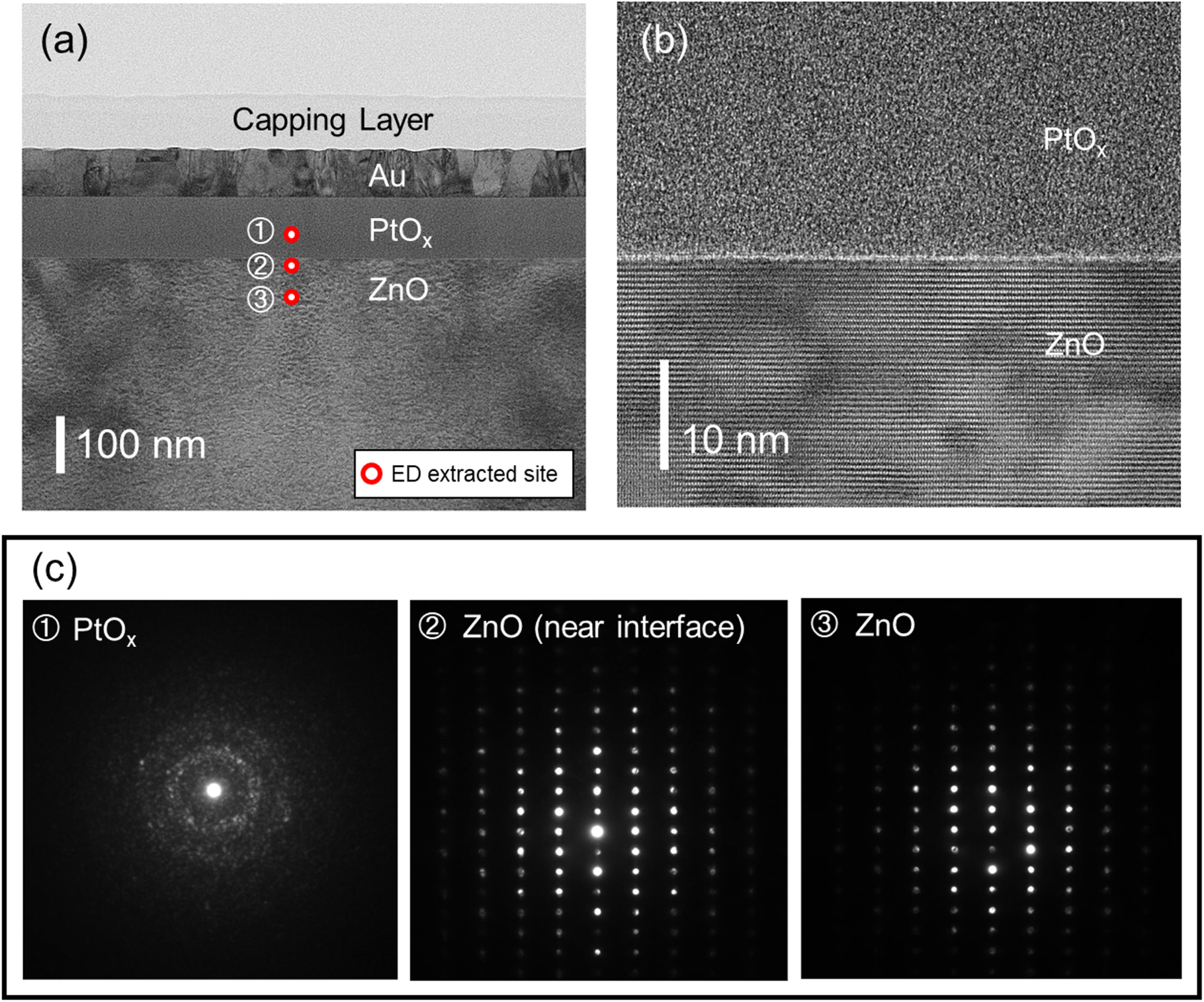 Experimental study on shallow and deep dopant properties at