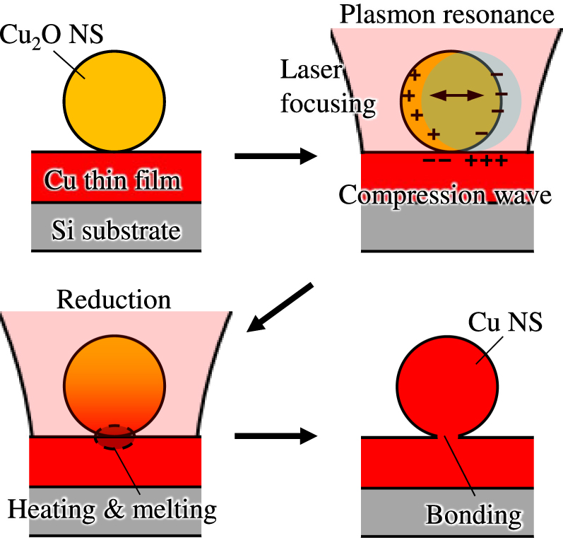 Bonding of single-layered Cu2O nanospheres on Cu substrates in ...