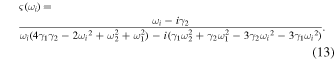 Equation (13)