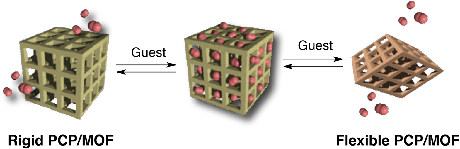 Pcpp Moc Direct observation of porous coordination polymer surfaces by atomic ...