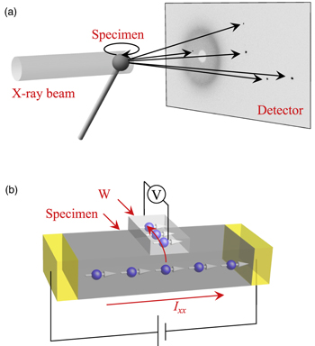 Chirality-selected crystal growth and spin polarization over