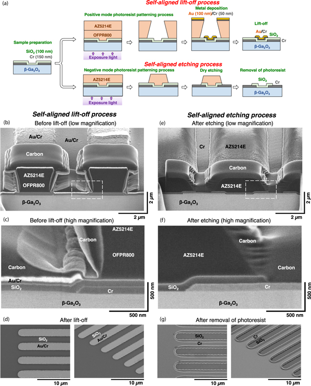 セルフポートレイト トグルスイッチ プレート02-3 | LT-PS002-08-G141 | スイッチ