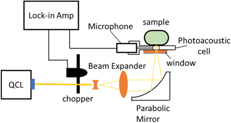 Mid-infrared photoacoustic spectroscopy using a quantum cascade laser ...