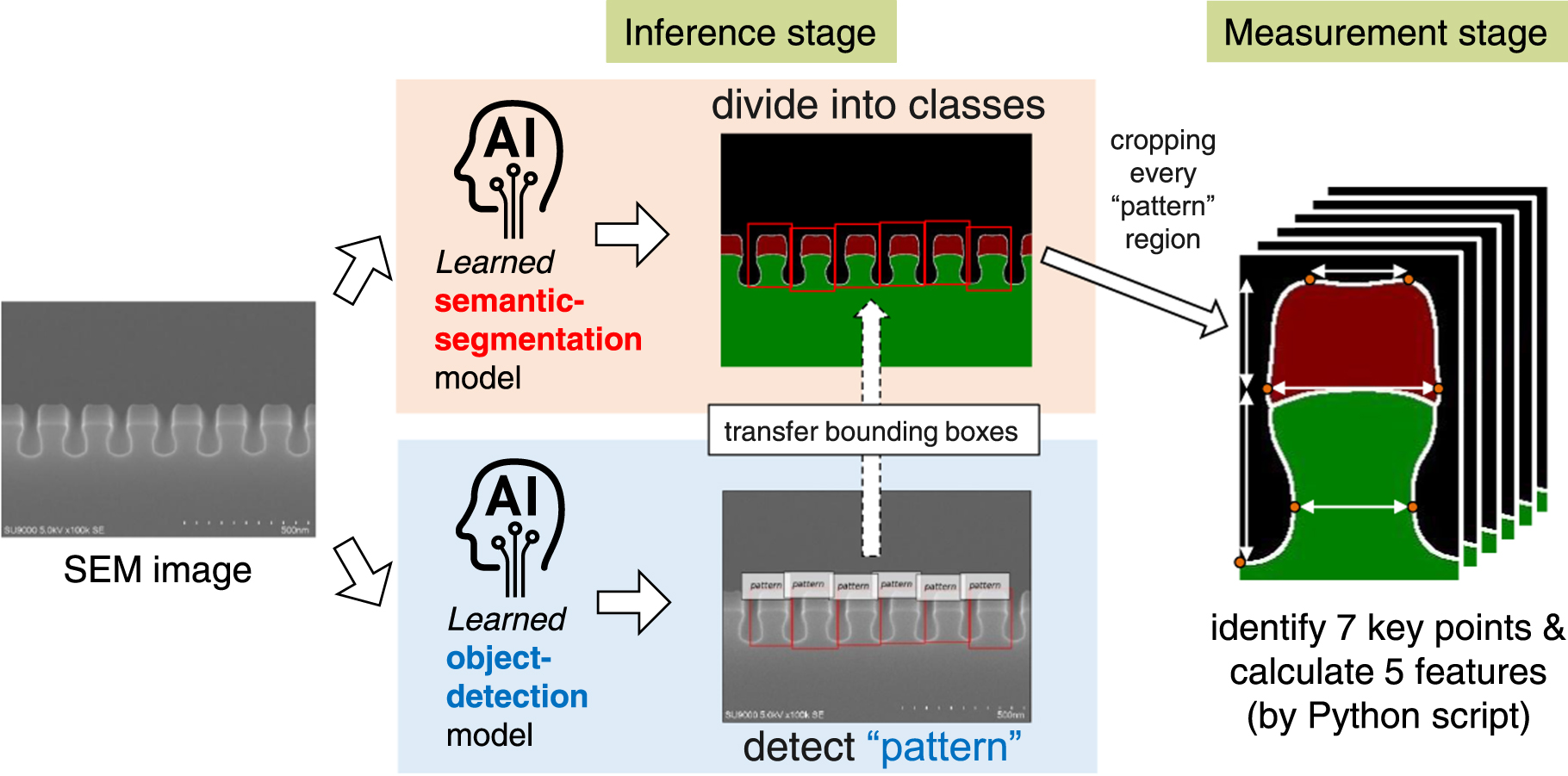 Automated measurement method based on deep learning for cross-sectional ...