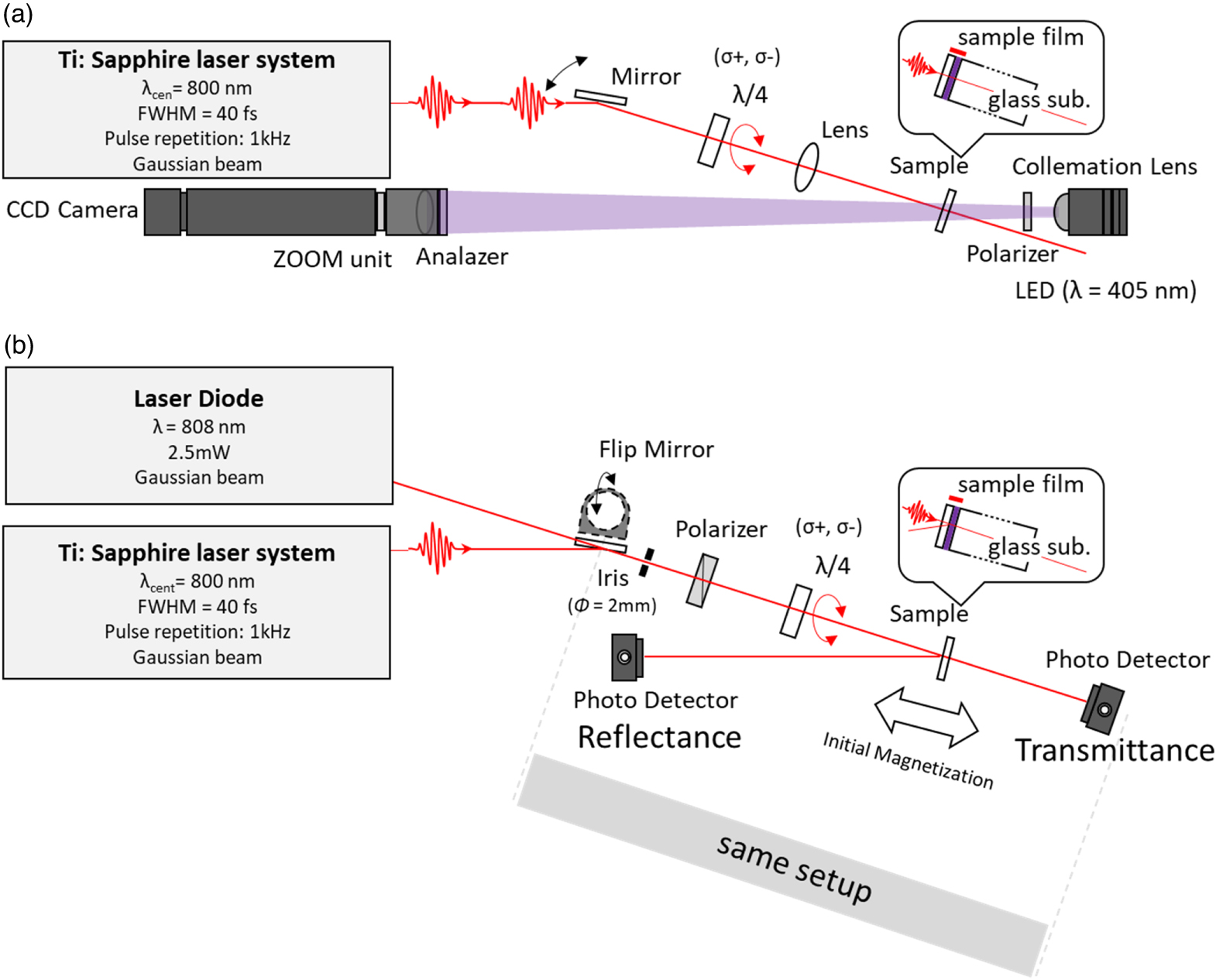 Different helicity dependency of all-optical magnetization switching in ...