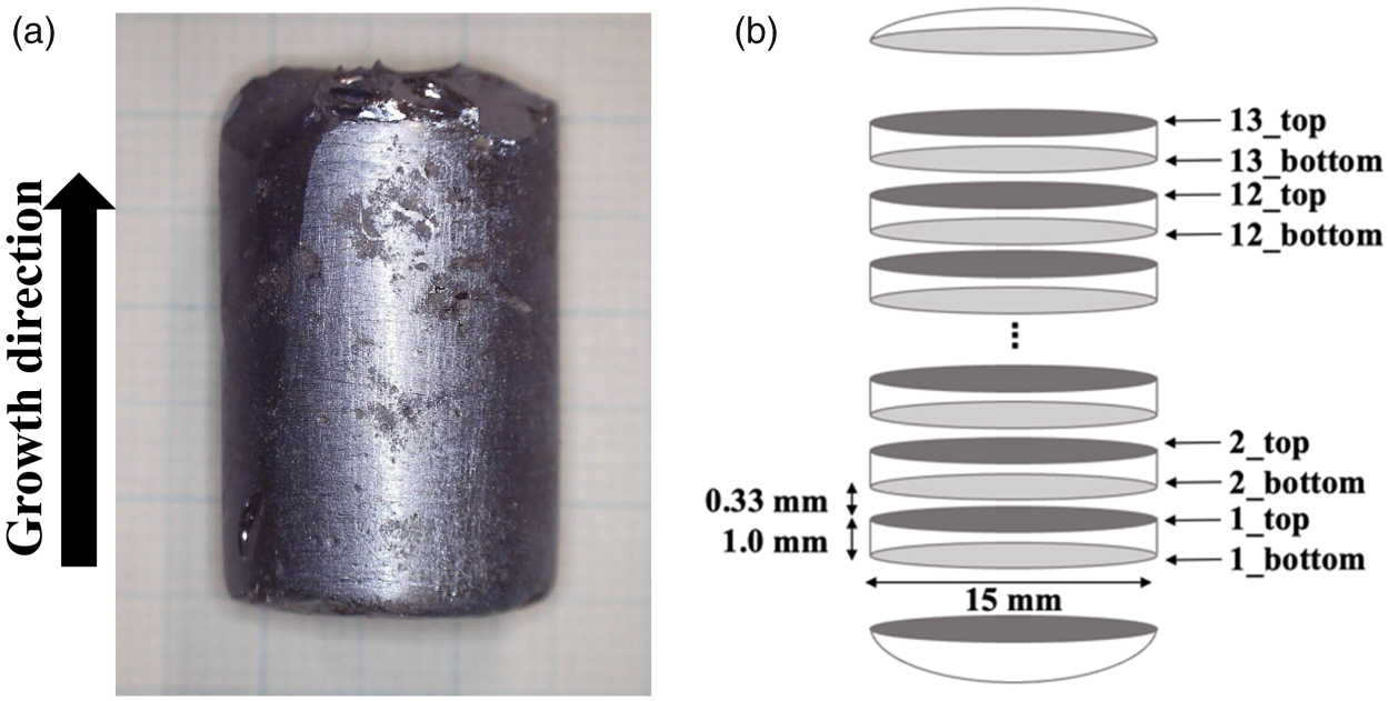 Takeshiページ Analysis of grain growth behavior of multicrystalline Mg2Si