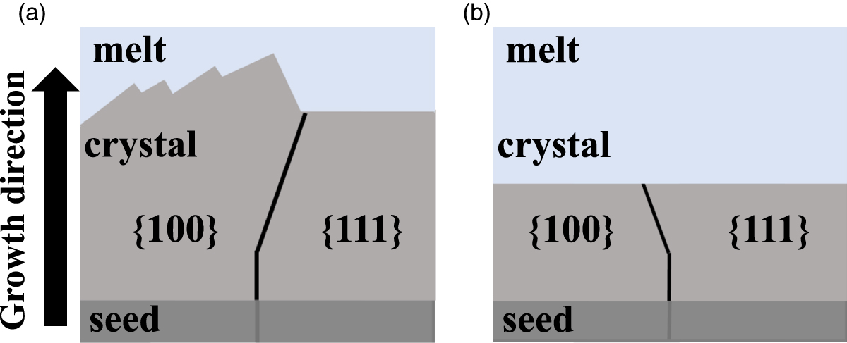 Analysis of grain growth behavior of multicrystalline Mg2Si