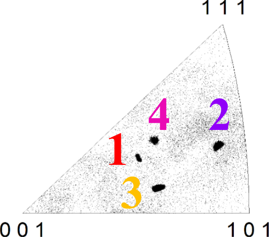 Takeshiページ Analysis of grain growth behavior of multicrystalline Mg2Si