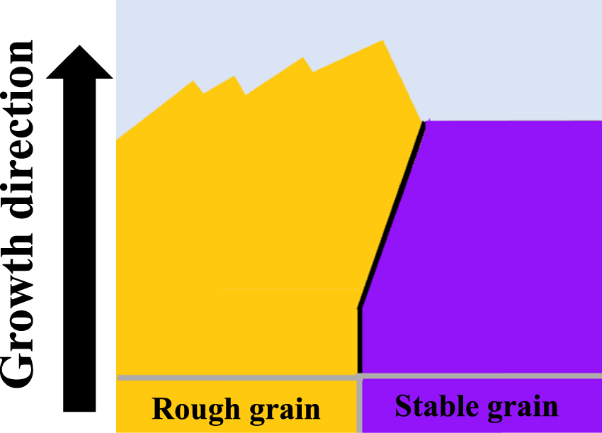 Takeshiページ Analysis of grain growth behavior of multicrystalline Mg2Si