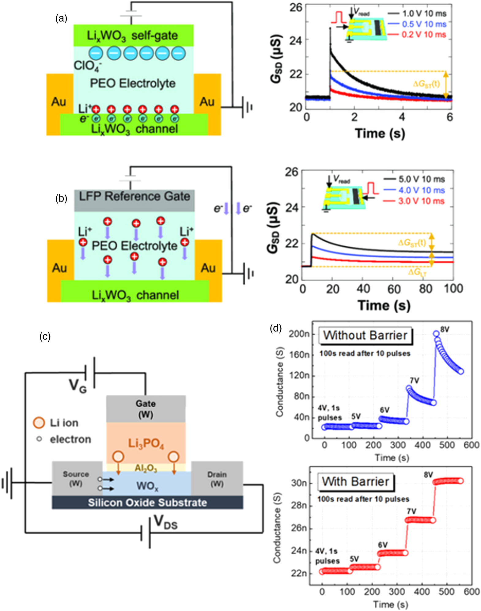 Electrolyte-gated synaptic transistors for brain-inspired computing ...
