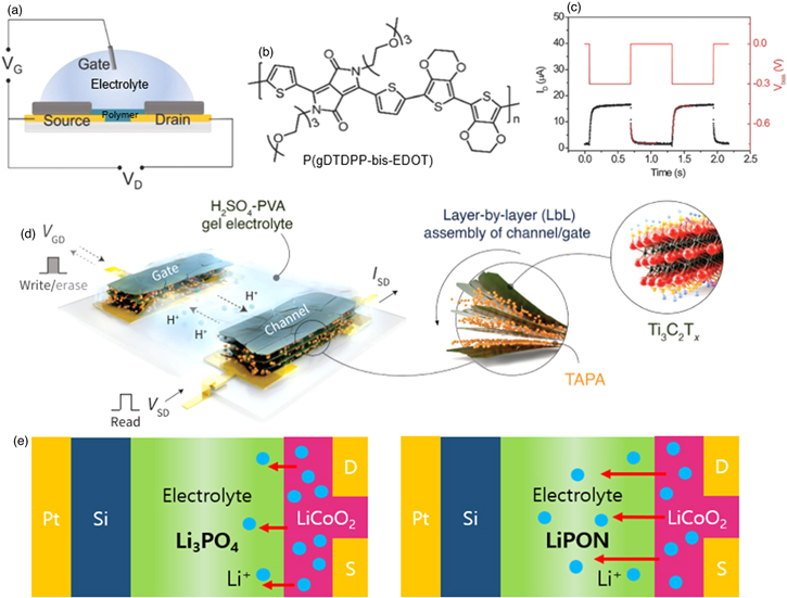 Electrolyte-gated synaptic transistors for brain-inspired computing ...