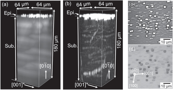 Observation of nanopipes in edge-defined film-fed grown β