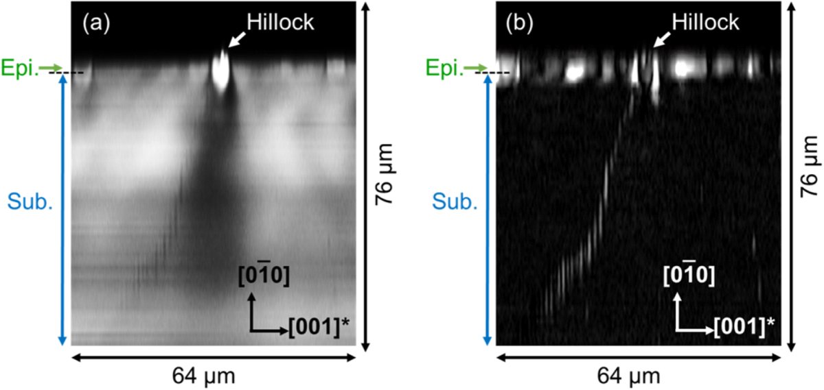 Observation of nanopipes in edge-defined film-fed grown β