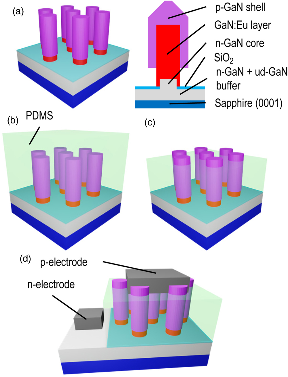 Demonstration of GaN:Eu/GaN nanowire light emitting diodes grown by ...