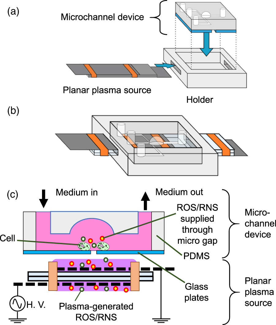 Microperfusion cell culture system for promoted cell growth using non ...