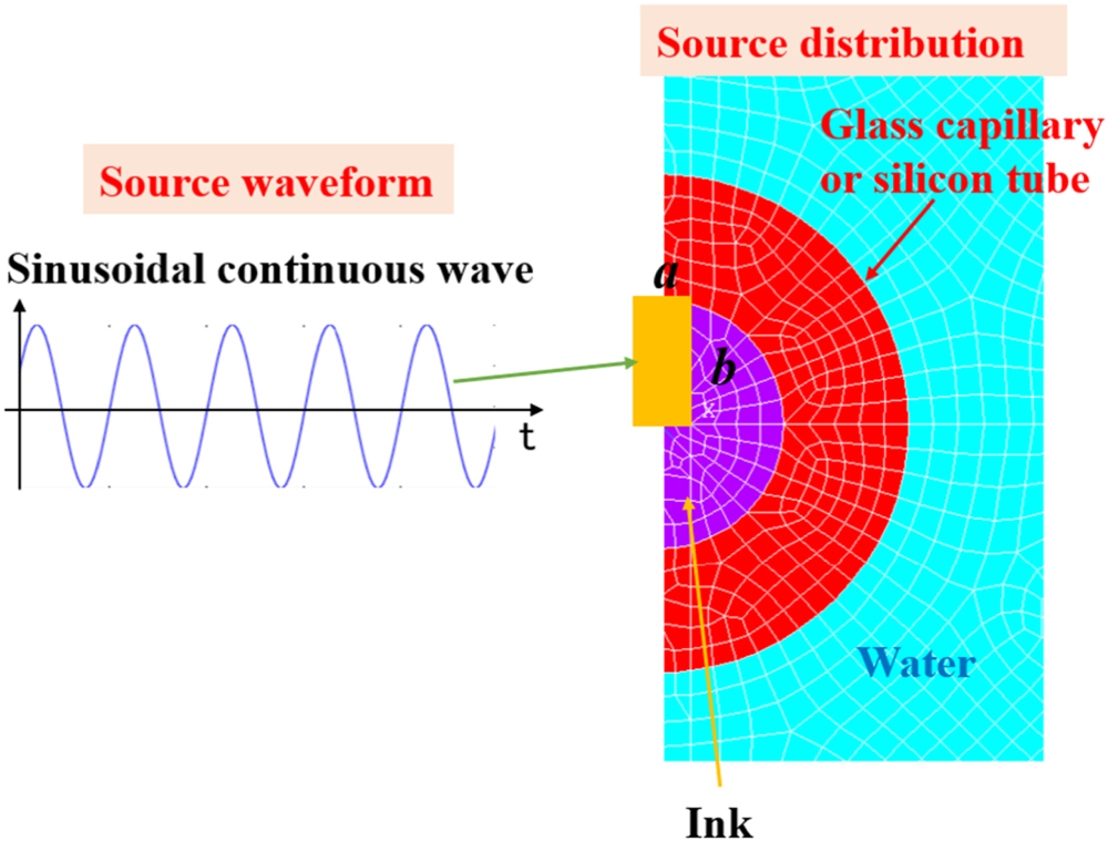 Directivity of photoacoustically generated ultrasound from a thin tube ...