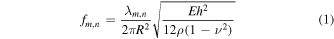Equation (1)