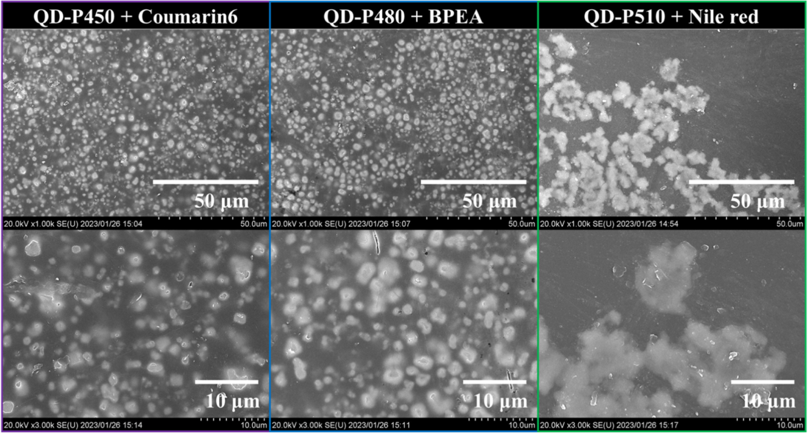 Development of plastic scintillators loaded with perovskite quantum ...