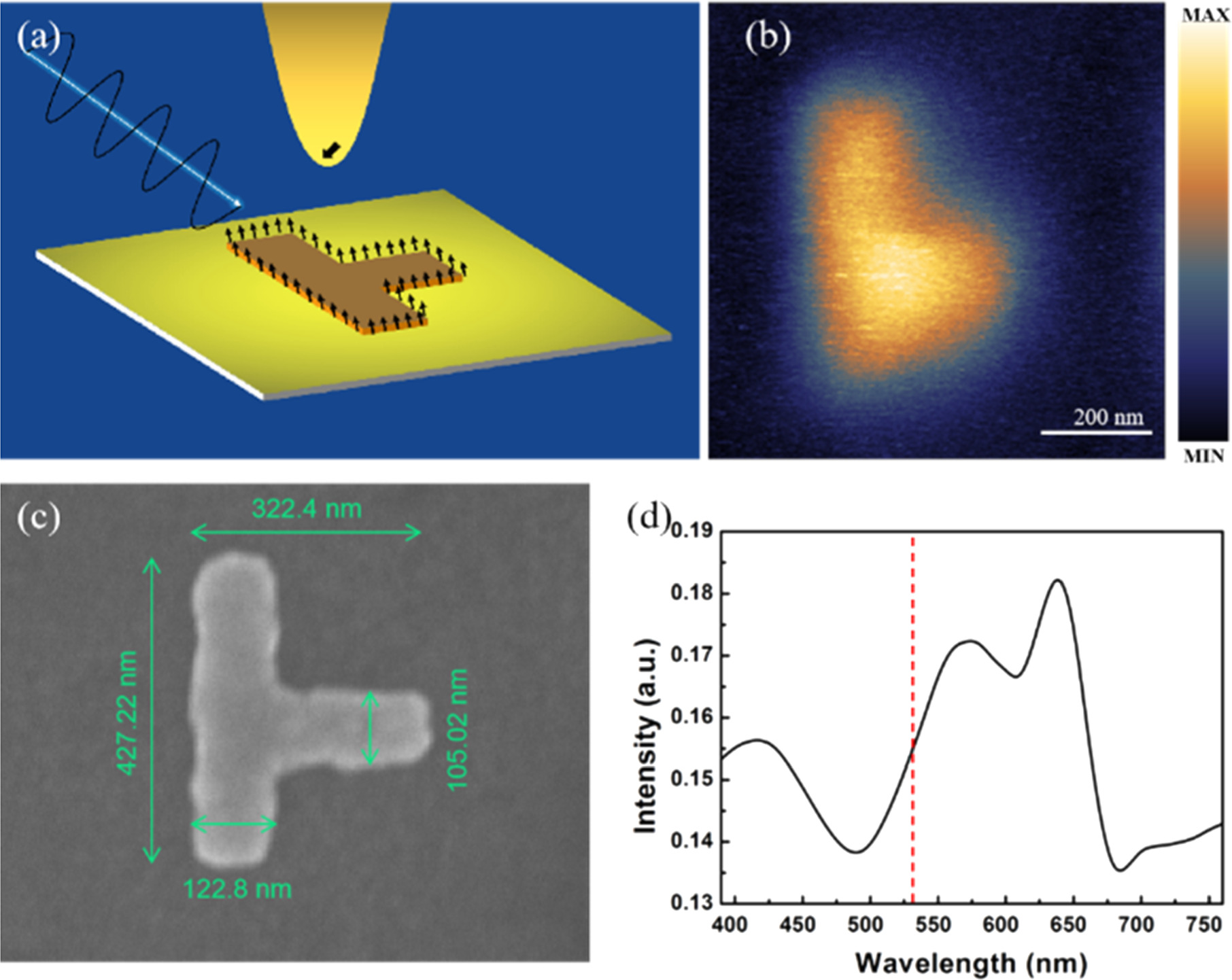 Imaging the distribution of a surface plasmon induced electromagnetic ...