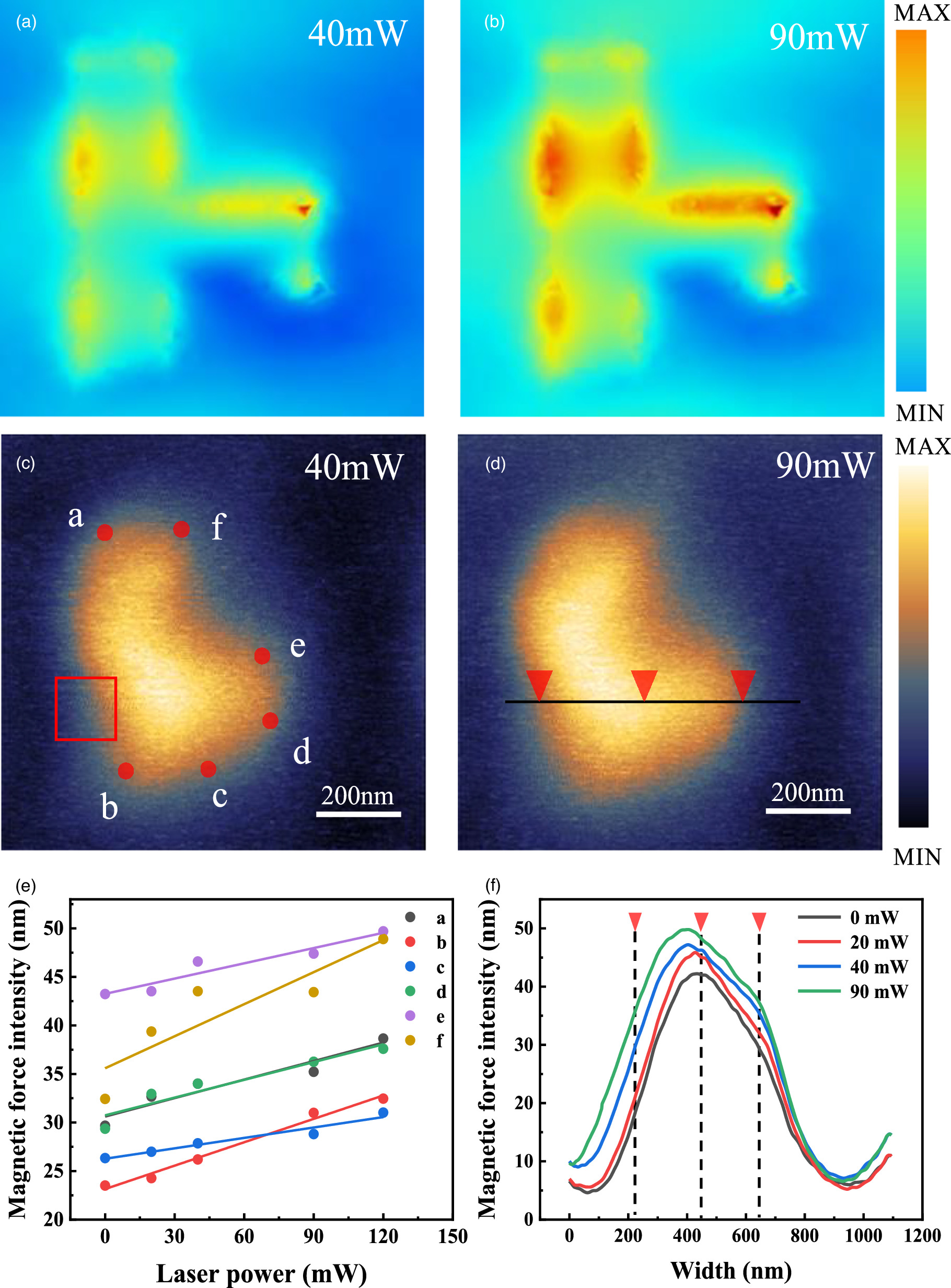 Imaging the distribution of a surface plasmon induced electromagnetic ...